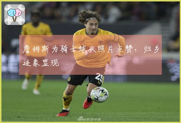 詹姆斯为骑士球衣照片点赞，归乡迹象显现